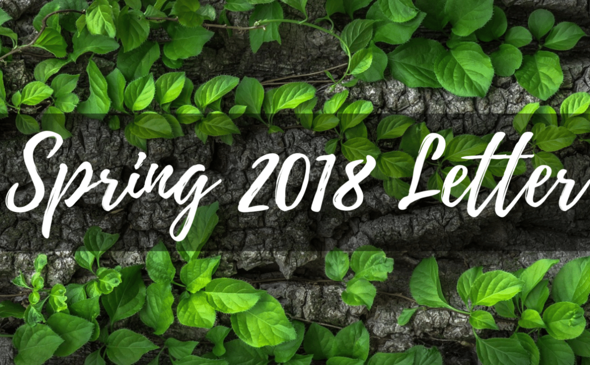 City-Photo-Tumblr-Banner