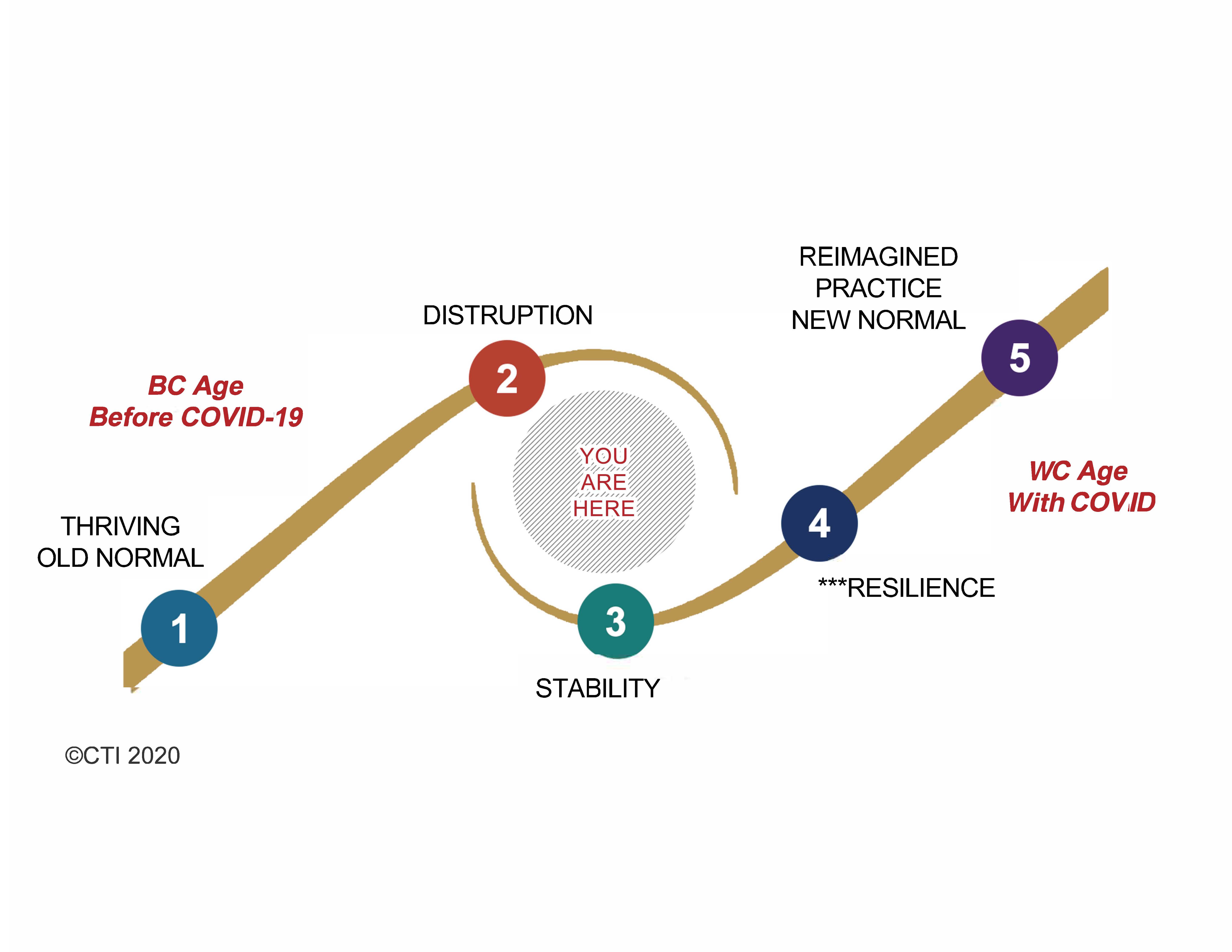 CTI SecondWaveGraphicLARGEV8 Recovery