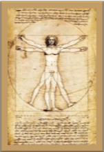 Screen Shot 2018 07 03 at 2.46.46 PM