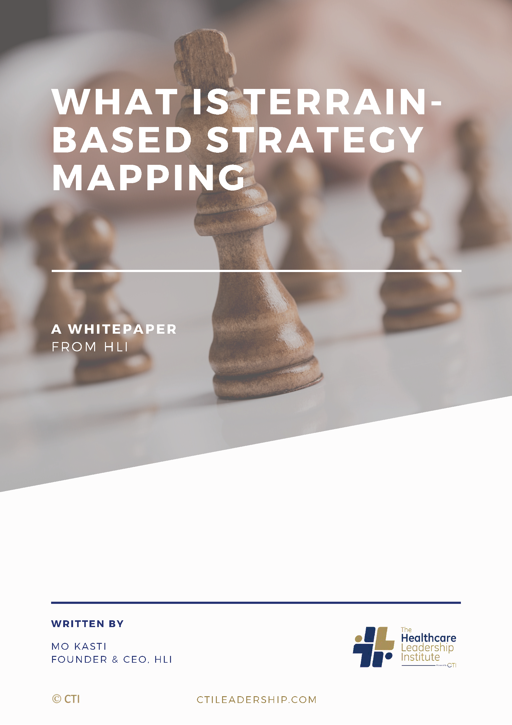 What is Terrain-Based Strategy Mapping - 2022