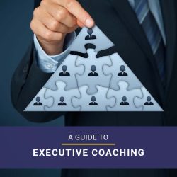 A Guide to Executive Coaching